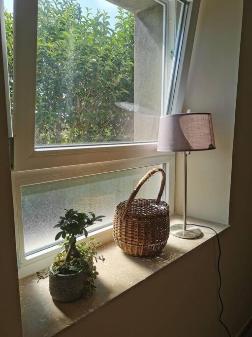 L'Althea Apartment Каркасон Екстериор снимка